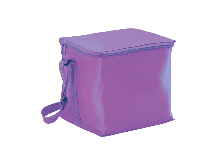 B104A - Small Cooler Bag - UNBRANDED