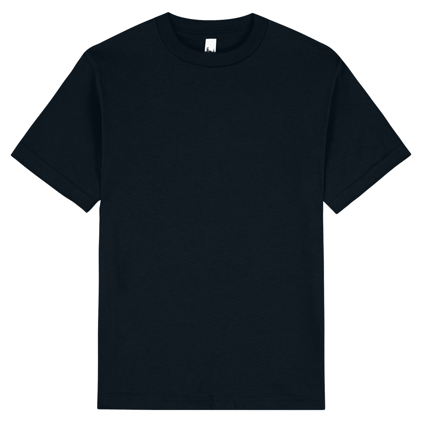 1301 - 1301 American Apparel/Alstyle Adult Tee - UNBRANDED