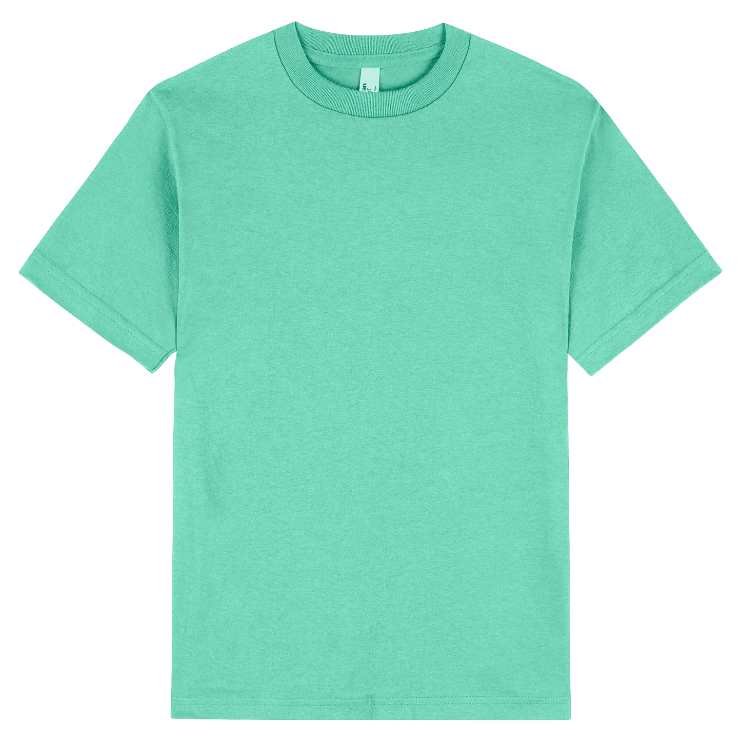 1301 - 1301 American Apparel Heavyweight Cotton Unisex T - UNBRANDED
