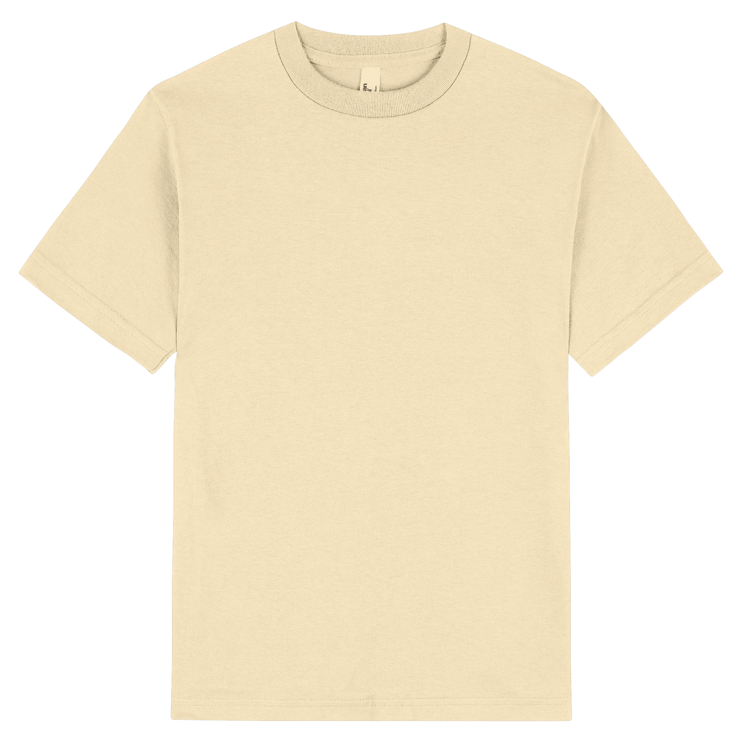 1301 - 1301 American Apparel/Alstyle Adult Tee - UNBRANDED