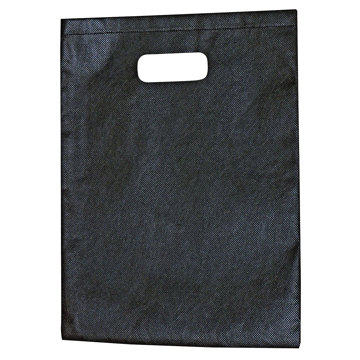 2007 - Non-Woven Gift Bag - Large - UNBRANDED