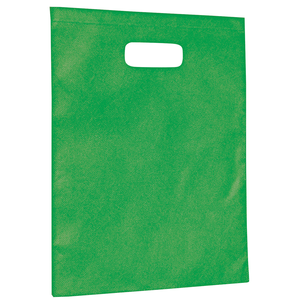 2007 - Non-Woven Gift Bag - Large - UNBRANDED