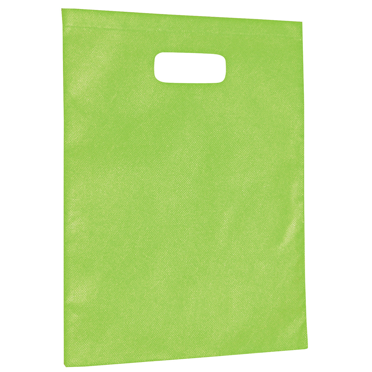 2007 - Non-Woven Gift Bag - Large - UNBRANDED