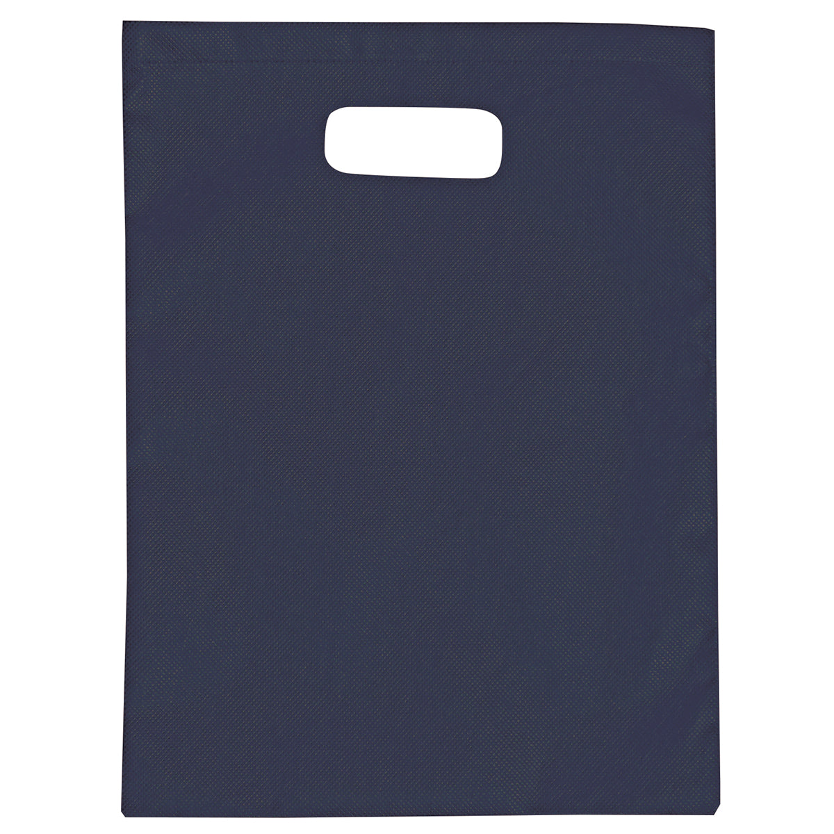 2007 - Non-Woven Gift Bag - Large - UNBRANDED