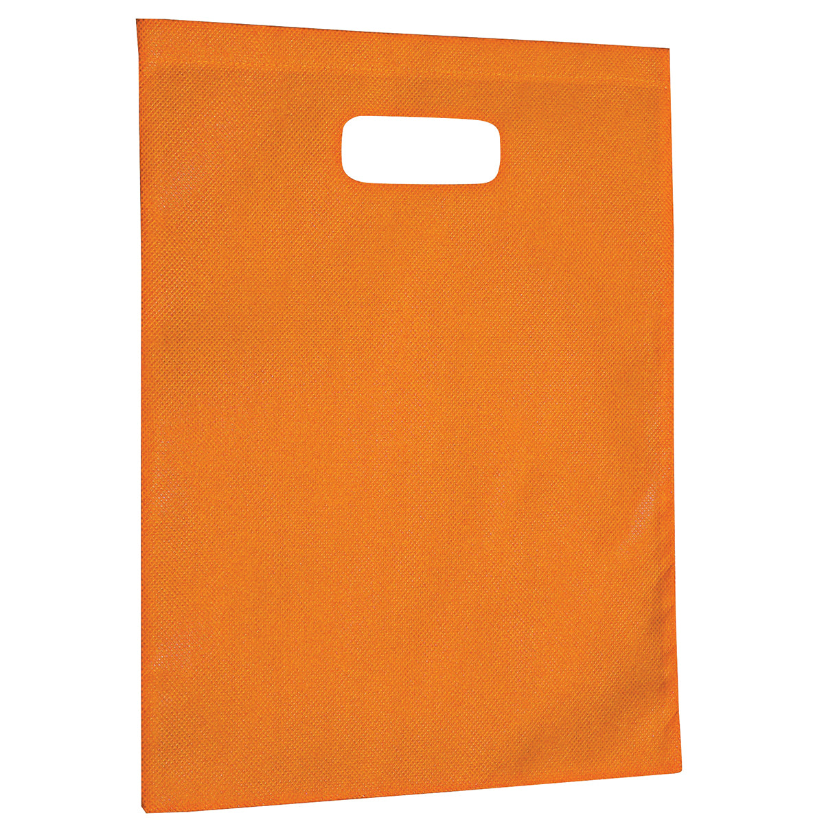 2007 - Non-Woven Gift Bag - Large - UNBRANDED