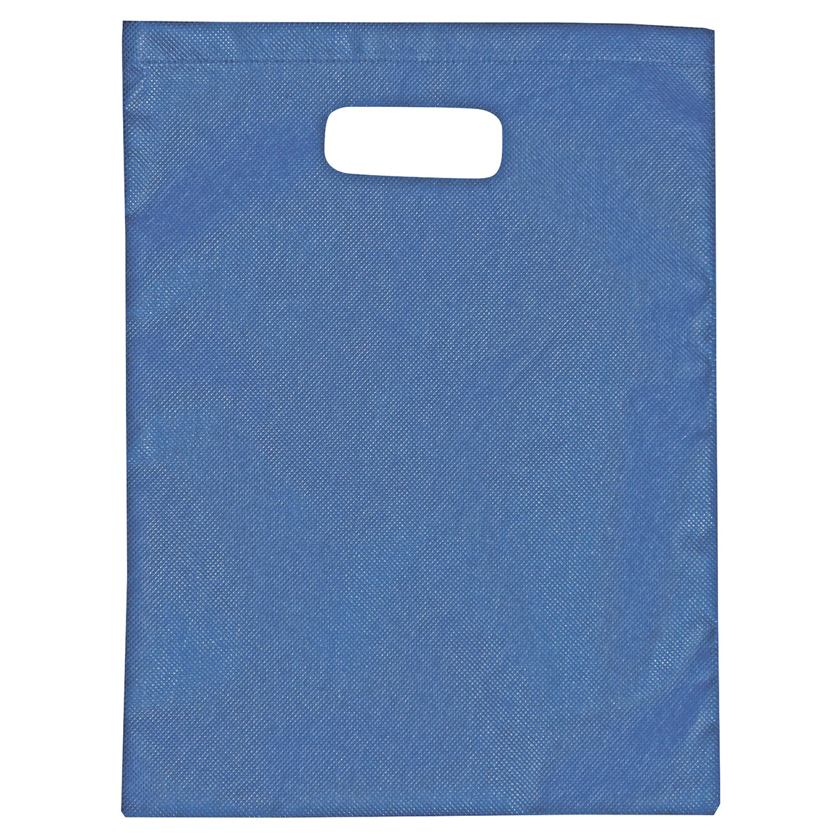 2007 - Non-Woven Gift Bag - Large - UNBRANDED