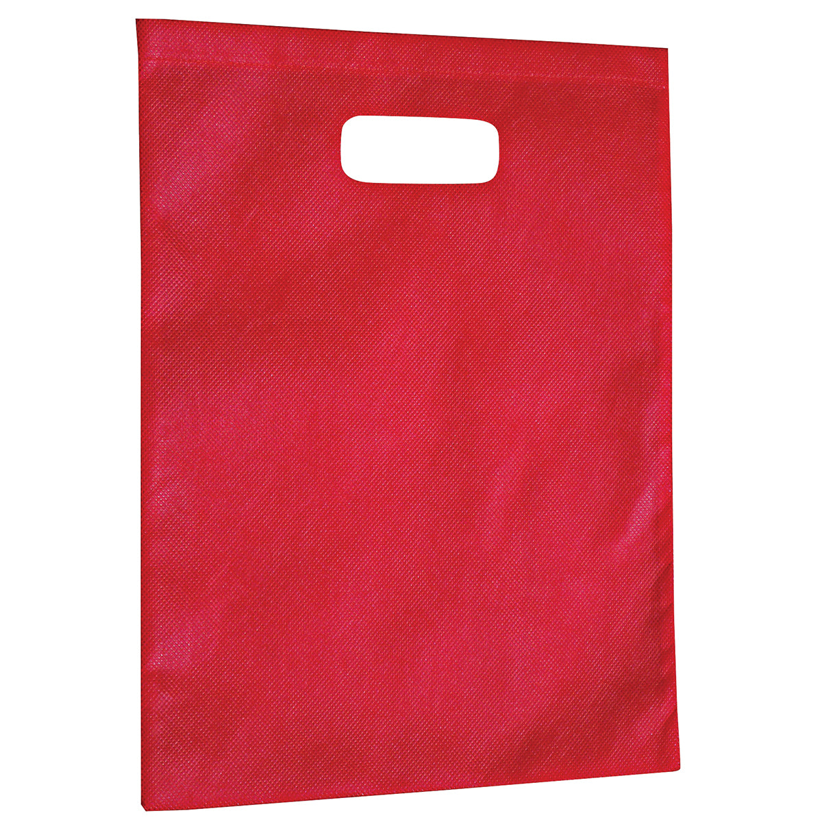 2007 - Non-Woven Gift Bag - Large - UNBRANDED