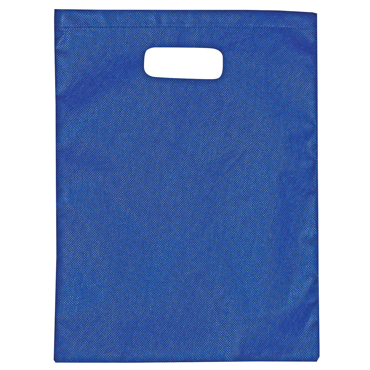 2007 - Non-Woven Gift Bag - Large - UNBRANDED