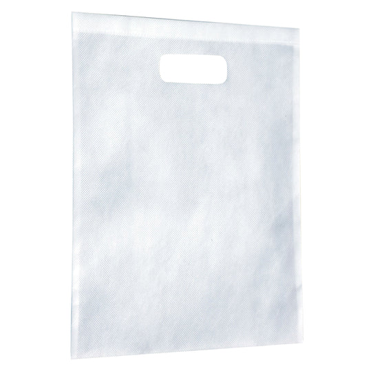 2007 - Non-Woven Gift Bag - Large - UNBRANDED