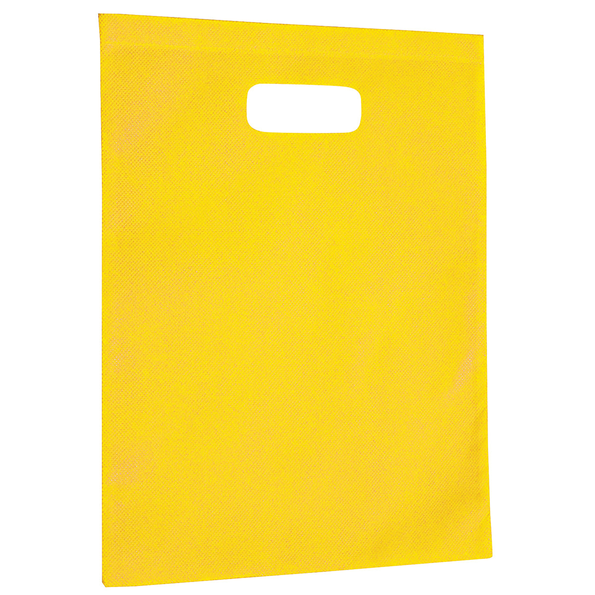 2007 - Non-Woven Gift Bag - Large - UNBRANDED