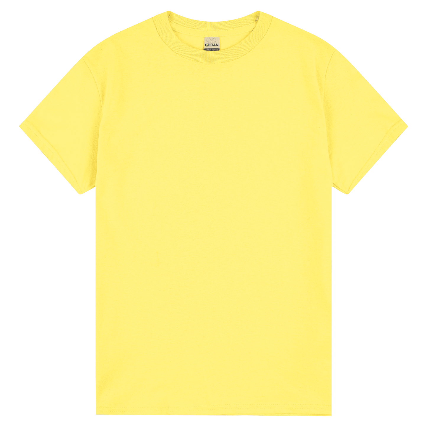 5000 - 5000 Gildan Heavy Cotton Adult T - UNBRANDED