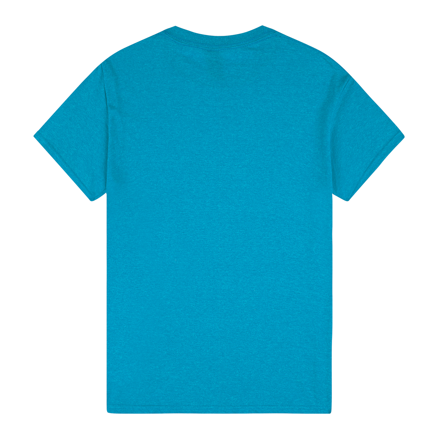 5000 - 5000 Gildan Heavy Cotton Adult T - UNBRANDED
