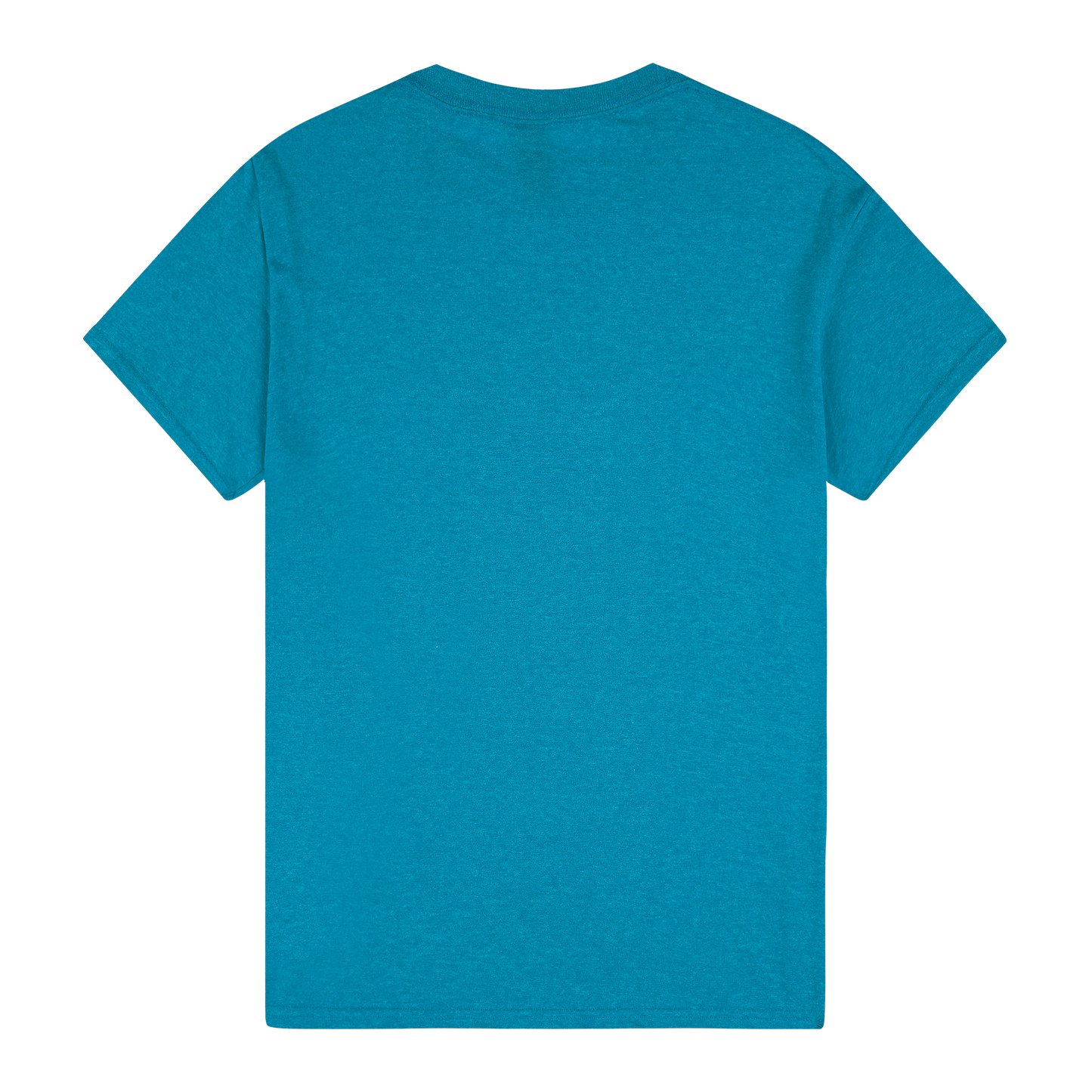 5000 - 5000 Gildan Heavy Cotton Adult T - UNBRANDED
